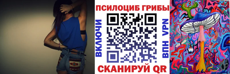 гидра ONION  купить наркоту  Каменск-Уральский  Псилоцибиновые грибы Cubensis 