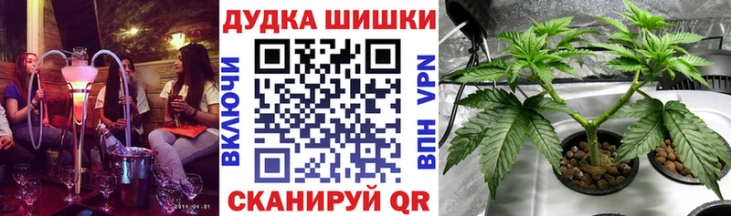Шишки марихуана OG Kush Каменск-Уральский